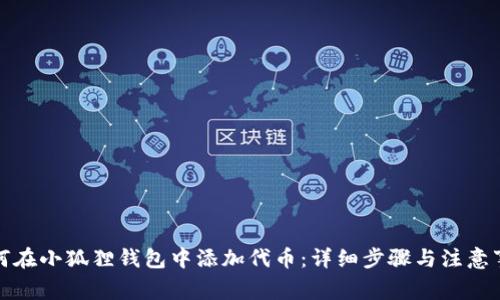 如何在小狐狸钱包中添加代币：详细步骤与注意事项