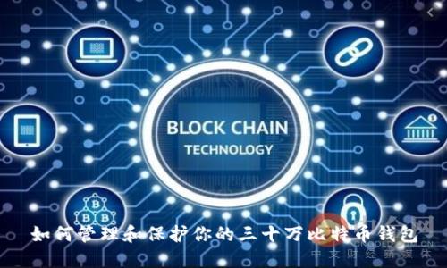 如何管理和保护你的三十万比特币钱包