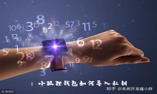 : 小狐狸钱包如何导入私钥