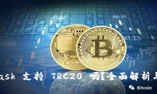 : MetaMask 支持 TRC20 吗？全面解析与使用指南