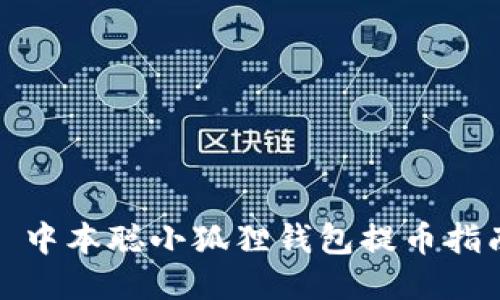 : 中本聪小狐狸钱包提币指南