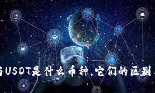 Plus钱包与USDT是什么币种，它们的区别与应用场景