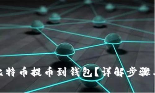 : 如何把比特币提币到钱包？详解步骤与注意事项