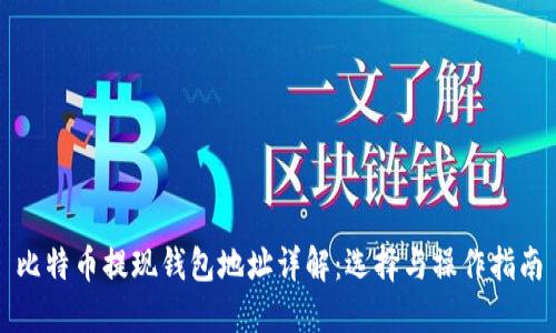 比特币提现钱包地址详解：选择与操作指南