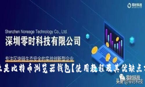 什么是比特币浏览器钱包？使用教程及其优缺点分析