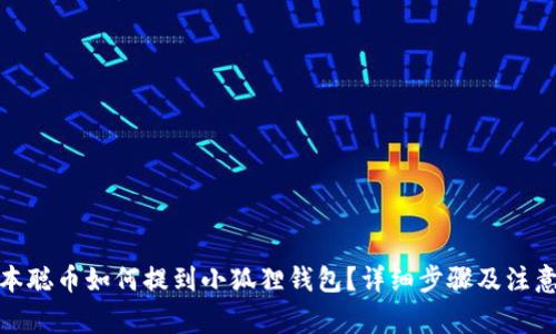 : 中本聪币如何提到小狐狸钱包？详细步骤及注意事项