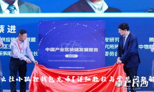 怎么往小狐狸钱包充币？详细教程与常见问题解答