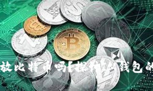 IM钱包可以存放比特币吗？探讨IM钱包的功能与安全性