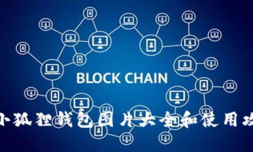 : 小狐狸钱包图片大全和使用攻略