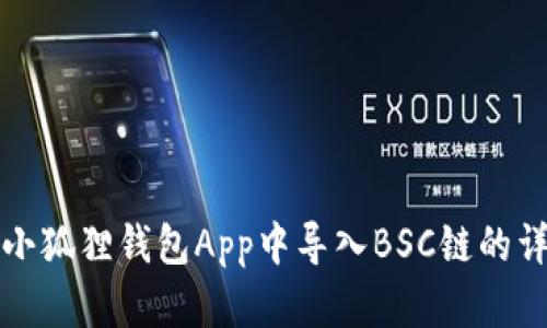 如何在小狐狸钱包App中导入BSC链的详细教程