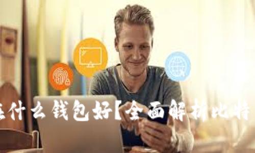比特币存放在什么钱包好？全面解析比特币钱包的选择