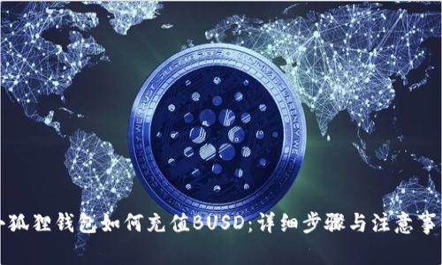 小狐狸钱包如何充值BUSD：详细步骤与注意事项