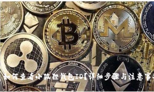 : 如何查看小狐狸钱包ID？详细步骤与注意事项