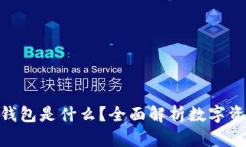 MetaMask钱包是什么？全面解析数字资产管理利器