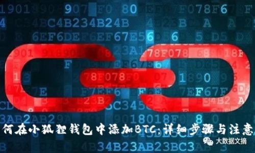 : 如何在小狐狸钱包中添加BTC：详细步骤与注意事项