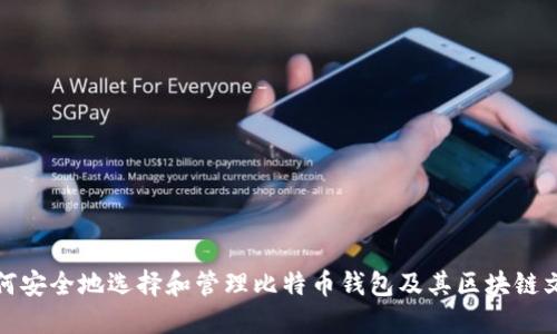 如何安全地选择和管理比特币钱包及其区块链文件